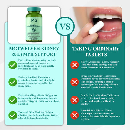 MgTwelve® Kidney & Lymph Support