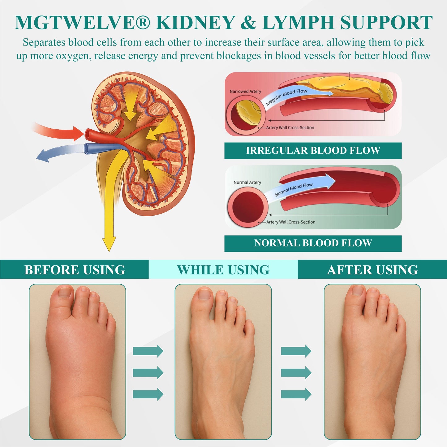 MgTwelve® Kidney & Lymph Support